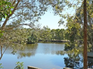 By the Lake on a Clear Day