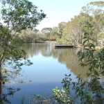 Peace by the Lake