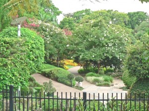 At a Botanical Garden